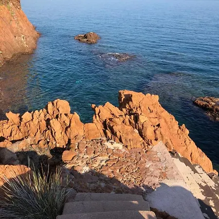 Apartment Appartement Jardin & Piscine Au Cap Neree