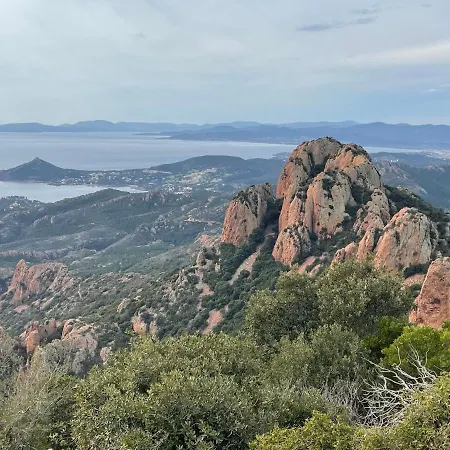 Apartment Appartement Jardin & Piscine Au Cap Neree